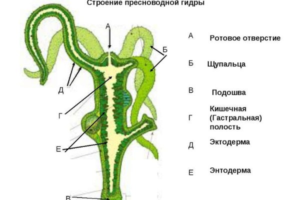 Кракен новая гидра