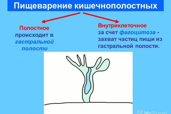 Кракен почему не заходит